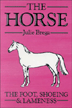 bk101horse75t