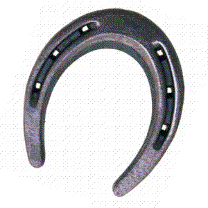Diamond Toe Weight