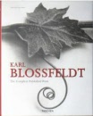 bk965blossfeld
