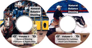 dvd64natbalshoein